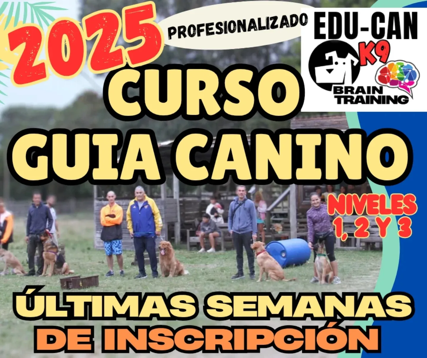 Cursos de Adiestramiento Canino